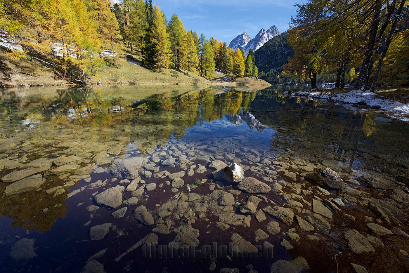 Albula, Grigioni, Svizzera, fotografia, natura
